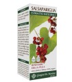 SALSAPARIGLIA ESTRATTO INTEGRALE 200 ML