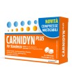 CARNIDYN PLUS 18 COMPRESSE MASTICABILI