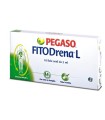 FITODRENA L 10 FIALE OROSOLUBILE 2 ML