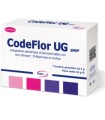 CODEFLOR UG 14 BUSTINE ASTUCCIO 42 G