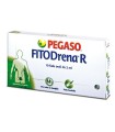 FITODRENA R 10 FIALE 2 ML