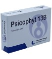 PSICOPHYT REMEDY 13B 4 TUBI 1,2 G