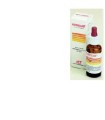 NORMOGAM OLIO BORRAGINE 25 ML