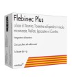 FLEBINEC PLUS 14 BUSTINE 4 G