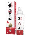 BANZAPID SPRAY TRATTAMENTO 100 ML