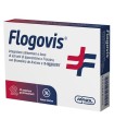 FLOGOVIS 20 COMPRESSE 800 MG