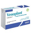 VENOPLANT 20 COMPRESSE