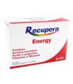 RECUPERA ENERGY 20 BUSTINE