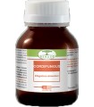 CORDIFUNGUS 60 CAPSULE