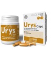 URYS CAPS 30 CAPSULE