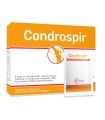 CONDROSPIR 20 BUSTINE 4 G