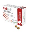 CADIGINK 30 COMPRESSE