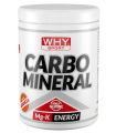 WHYSPORT CARBO MINERAL 400 G