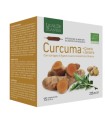 CURCUMA CICORIA ZENZERO BIO 15 AMPOLLE BEVIBILI DA 15 ML