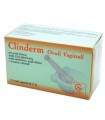 CLINDERM 15 OVULI VAGINALI 2,5 G