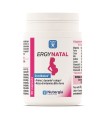 ERGYNATAL 60 CAPSULE