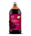 SALUGEA SUCCO ACEROLA BIO 500 ML