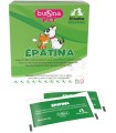 EPATINA 20 BUSTINE