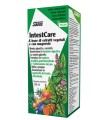 INTESTCARE 250 ML