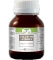 COLOSTRO LACTOFER 60 CAPSULE