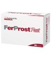 FERPROST FAST 30 STICK OROSOLUBILI