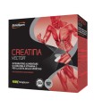 ETHICSPORT CREATINA VECTOR 20 BUSTINE 8 G