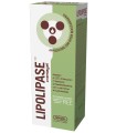 LIPOLIPASE CREMAGEL 150 ML