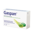 GASPAN CAPSULE MOLLI GASTRORESISTENTI CAPSULA MOLLE GASTRORESISTENTE 28 CAPSULE IN BLISTER PVC/PVDC-AL