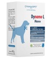 DYNAMO L MEDIUM 20 BUSTINE DA 10 G