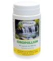 IDROPSILLIUM 90 CAPSULE