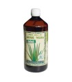 ALOE VERA SUCCO 1000ML STV