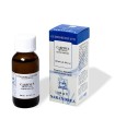 EXTRAGEM CARPINO BIANCO GEMME GOCCE 20 ML