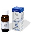 EXTRAGEM PINO MUGO PINO GEMME GOCCE 20 ML