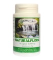 NATURALFLORA 40 CAPSULE