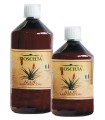 ALOE ARBORESCENS PURO SUCCO BIOSCELTA 500 ML