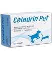 CELADRIN PET VETERINARIO 60 COMPRESSE