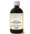 GEMOO 10+ GEMMODERIVATO CONCENTRATO IPPOCASTANO LIQUIDO ANALCOLICO AESCULUS HIPPOCASTANUM IPPOCASTANO 500 ML