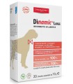 DINAMIC LARGE 20 BUSTINE 10 G