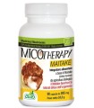 MICOTHERAPY MAITAKE 90 CAPSULE