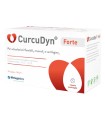 CURCUDYN FORTE 90 CAPSULE