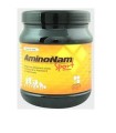 AMINONAM SPORT POLVERE BARATTOLO 500 G