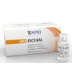 MD-ISCHIAL ITALIA 10 FLACONCINI DA 2 ML