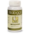 DAB 001 ISABGOL 100 G