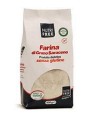 NUTRIFREE FARINA GRANO SARACENO 500 G