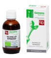 OLIVELLO SPINOSO MACERATO GLICERINATO BIO 50 ML