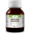 AGARIFUNGUS 60 CAPSULE DA 400 MG